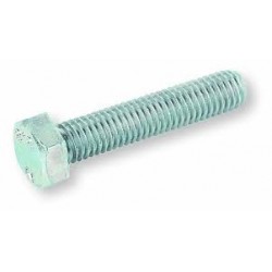 04 zeskanttapbout M12 x 30 mm A4 per doos