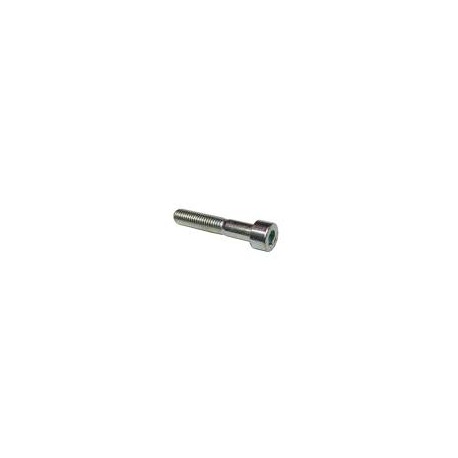 11 Binnenzeskantbout M5 x 30 mm,CK rvs A4
