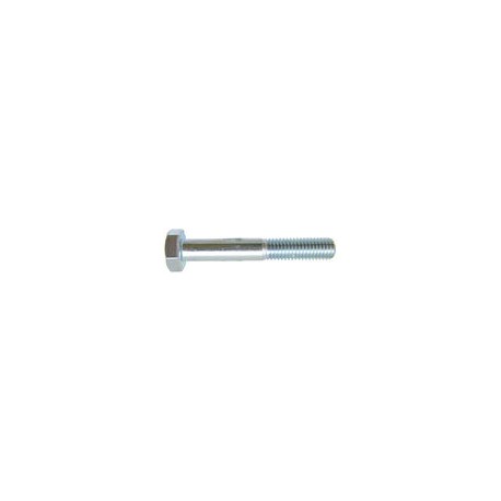 09 Zeskantbout M20 x 110 mm 8.8