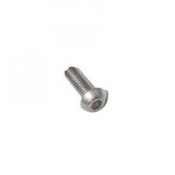 03 Laagbolkop M5 x 10 mm rvs per 100