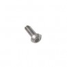 11 Laagbolkop M6 x 35 mm rvs.
