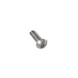 14 Laagbolkop M6 x 50 mm rvs.