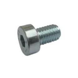 01 Inbusbout 4 x 8  mm lage kop