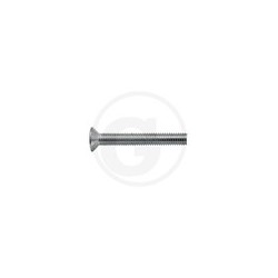 01 Metaalschroef  M2 x 6 mm vk  per stuk