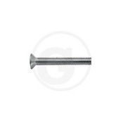 05 Metaalschroef  M2 x 10 mm vk  per stuk