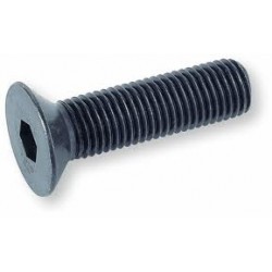 01 Binnenzeskantbout  2 x 8 mm pk 10.9 zwart per stuk