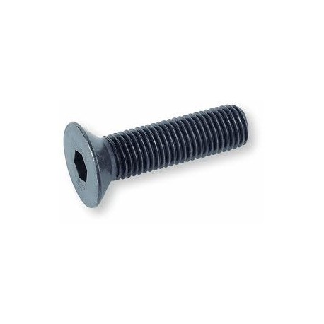 01 Binnenzeskantbout  2 x 8 mm pk 10.9 zwart per stuk