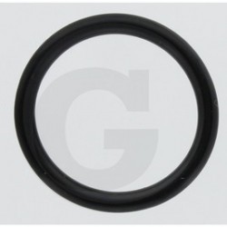 02 Annovi Reverberi O ring 31,5 x 4,25 mm