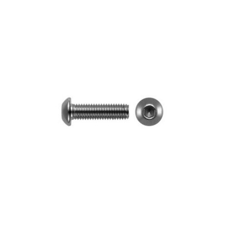 04 Laagbolkop M3 x 10 mm rvs per 500