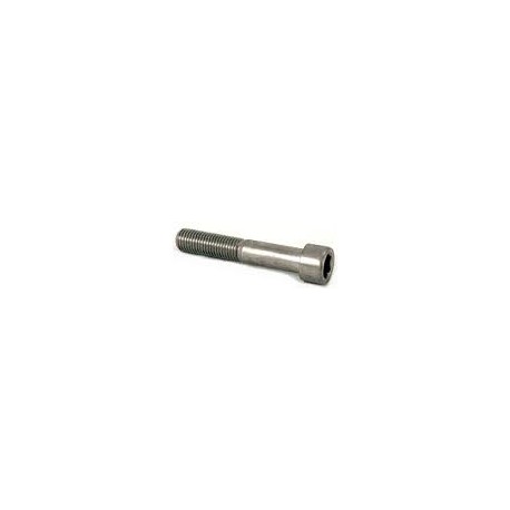 15 Binnenzeskantbout  14 x 110 mm rvs A2 ck  per stuk