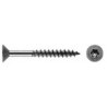 03 Spaanplaatschroeven   5 x 40/24 T-25 platkop rvs  per 100