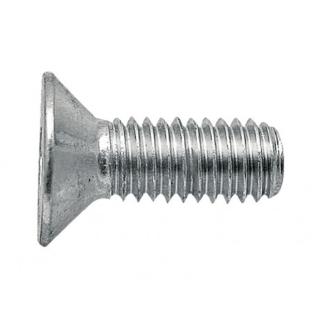 10 Binnenzeskant  verzonken kop 8 x 45 mm