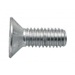 11 Binnenzeskant  verzonken kop 8 x 50 mm