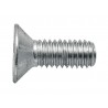 12 Binnenzeskant  verzonken kop 8 x 60 mm
