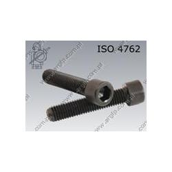 Hex socket head cap screw  FT M 6×16-8.8   ISO 4762