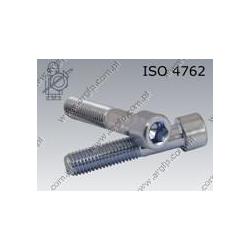 Hex socket head cap screw  M 5×80-8.8 zinc plated  ISO 4762