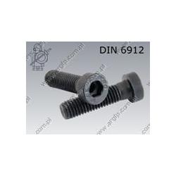 Hex socket head cap screw, low head  M16×40-08.8   DIN 6912