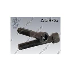 Hex socket head cap screw  M 5×55-8.8   ISO 4762