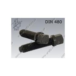 Square hd bolt with collar, short dog point  M 8×18-10.9   DIN 480
