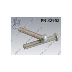 Round head rivet  3×20-Al   DIN 660