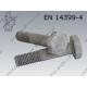 High tensile bolt  M12×100-10.9 tZn  EN 14399-4