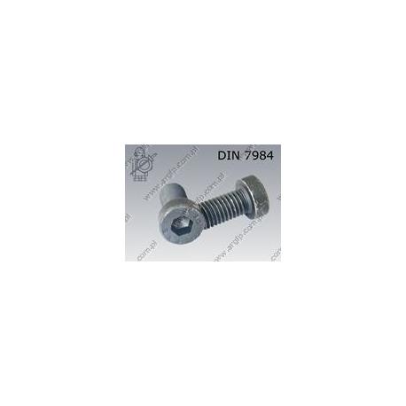 Hex socket head cap screw, low head  M 8×30-08.8   DIN 7984