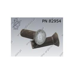Countersunk head rivet  10×16    PN 82954
