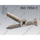 Self tapping screw  H ST 2,9×13-A2   ISO 7050 C