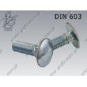 Carriage screw  FT M10×35-8.8 zinc plated  DIN 603