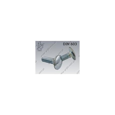 Carriage screw  FT M10×25-8.8 zinc plated  DIN 603