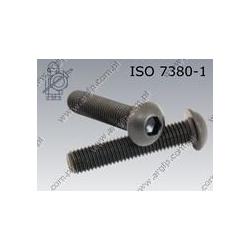Hexagon socket button head screw  FT M10×20-010.9   ISO 7380-1