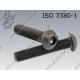 Hexagon socket button head screw  FT M10×25-010.9   ISO 7380-1