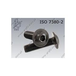 Hexagon socket button head screw with collar  FT M 6×12-010.9   ISO 7380-2