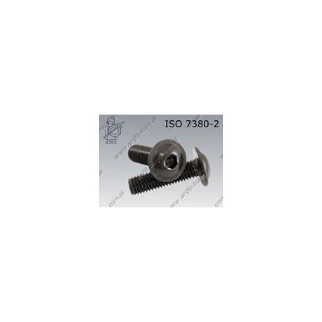 Hexagon socket button head screw with collar  FT M 6×12-010.9   ISO 7380-2