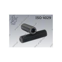 Hex socket set screw with cup point  M 8×30-45H   ISO 4029