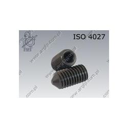 Hex socket set screw with cone point  M 3×10-45H   ISO 4027