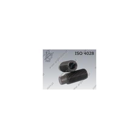 Hex socket set screw with dog point  M 6×10-45H   ISO 4028