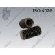 Hex socket set screw with flat point  M 5× 6-45H   ISO 4026