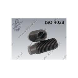 Hex socket set screw with dog point  M 8×20-45H   ISO 4028