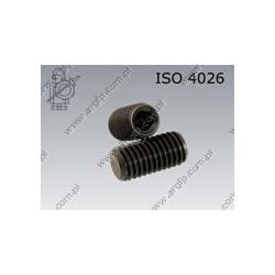 Hex socket set screw with flat point  M 4× 4-45H   ISO 4026