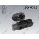 Hex socket set screw with dog point  M 3× 5-45H   ISO 4028