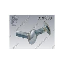 Carriage screw  FT M12×45-8.8 zinc plated  DIN 603