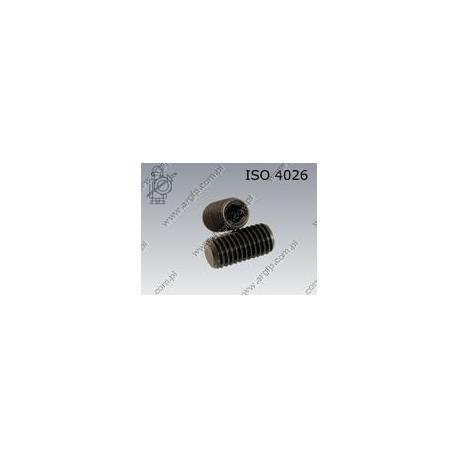 Hex socket set screw with flat point  M 5× 6-45H   ISO 4026