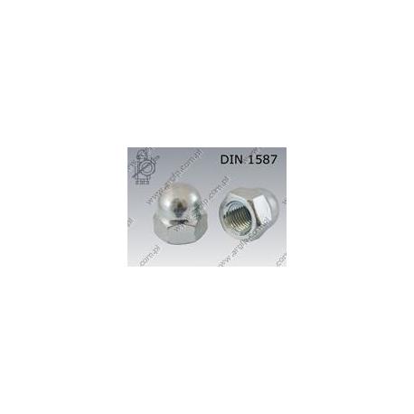Dome cap nut  one-piece M20×1,5-6 zinc plated  DIN 1587-1