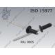Blind rivet dome head  4×12-AL/St RAL 9005   ISO 15977