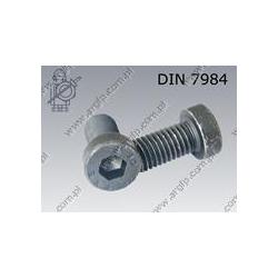 Hex socket head cap screw, low head  M12×25-08.8   DIN 7984