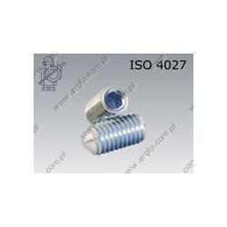 Hex socket set screw with cone point  M 5× 8-45H zinc plated  ISO 4027
