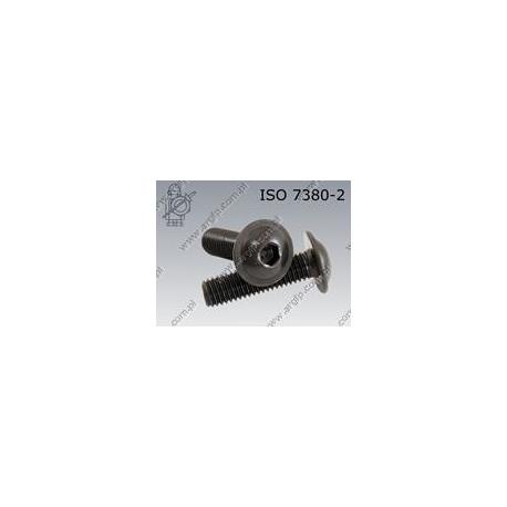 Hexagon socket button head screw with collar  FT M 5×12-010.9   ISO 7380-2