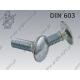 Carriage screw  FT M 6×25-8.8 zinc plated  DIN 603