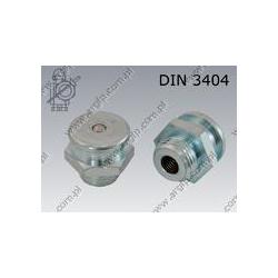 Grease nipple  G 3/8(22)  zinc plated  DIN 3404